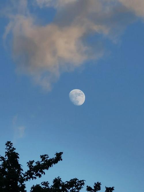 傍晚的月亮